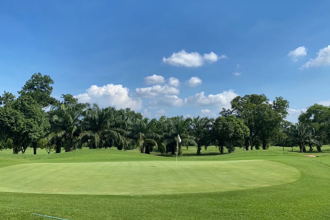 pine-golf-lodge-green3