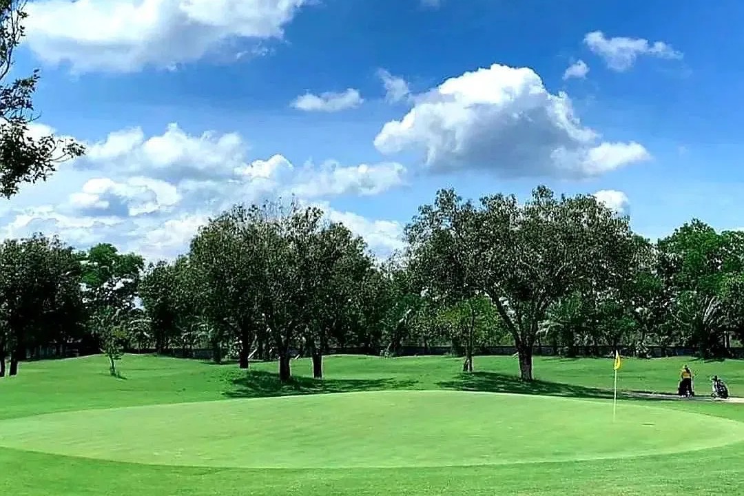 pine-golf-lodge-green4