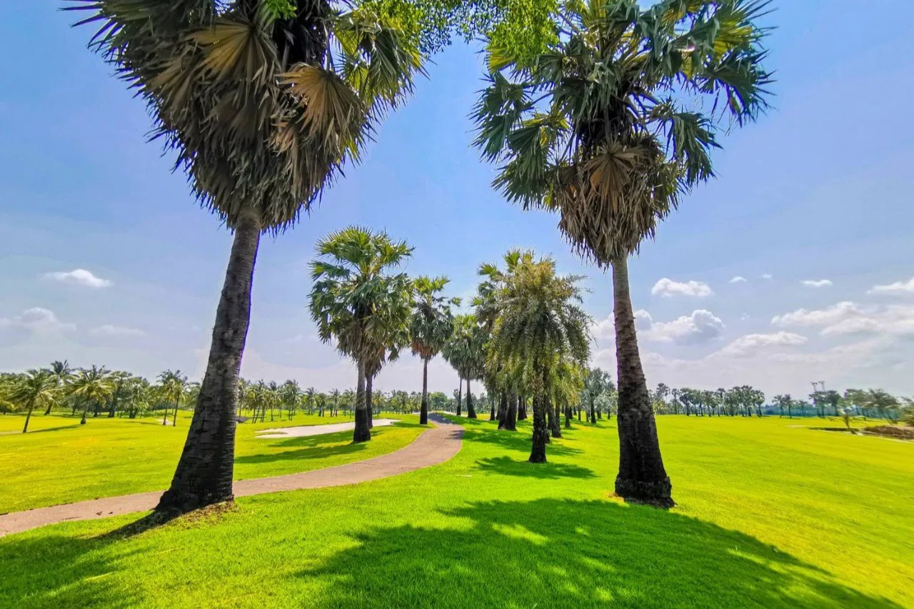 suwan-golf-cc-8